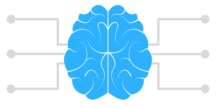 Teach your Golem how to learn
